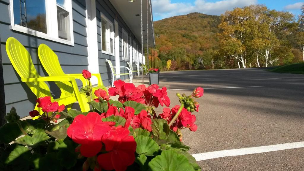 Cornerstone Motel Chéticamp Eksteriør bilde